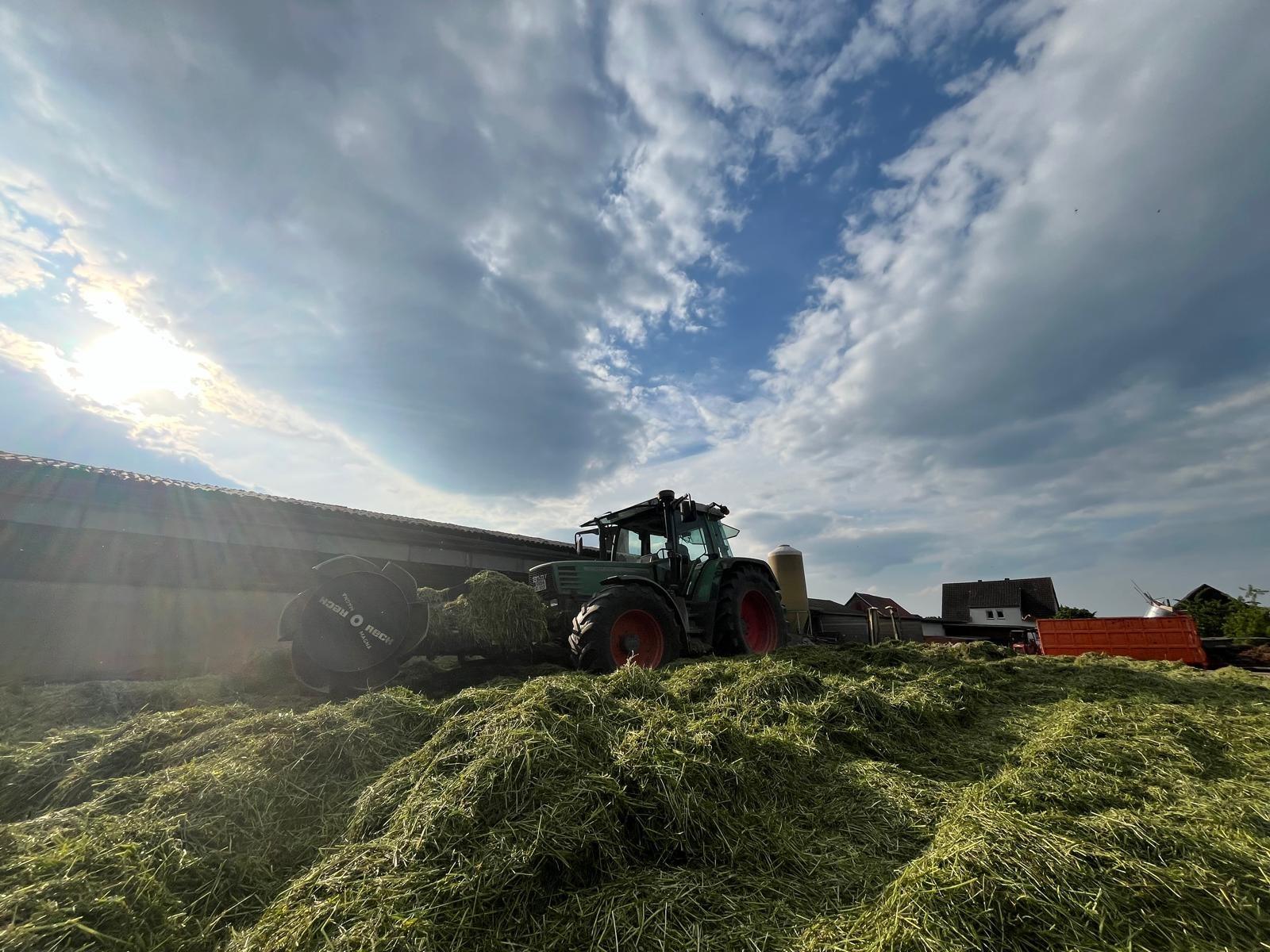Traktor beim Verdichten der Silage auf dem Fahrsilo